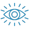 Vision